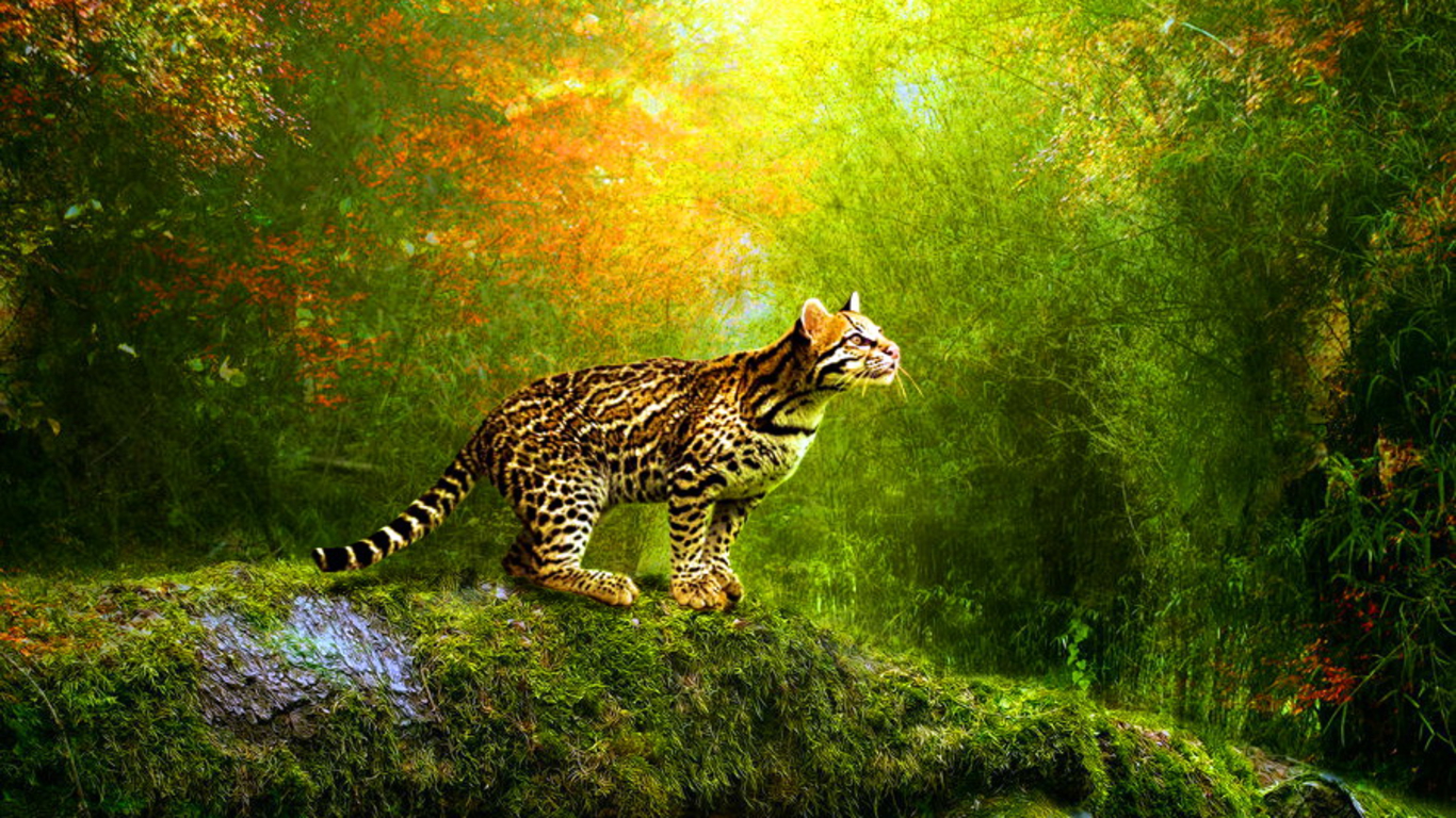 3d animated wallpapers free